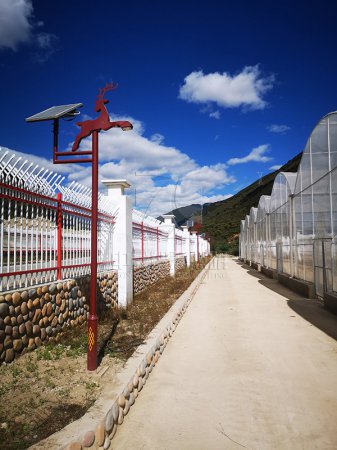 甘孜州白玉縣苗木基地項(xiàng)目